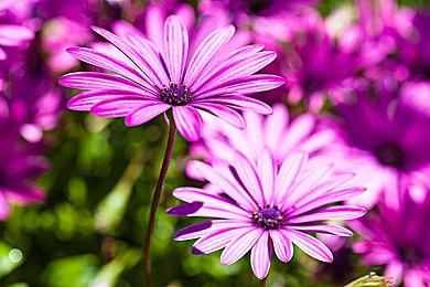 因面临经济问题  《荒神》开发商将于4月解散